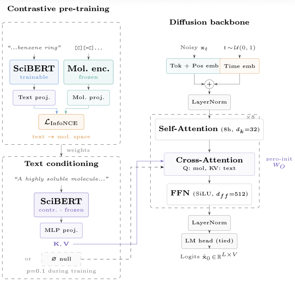 Detailed architecture: contrastive pre-training, text conditioning, and diffusion backbone