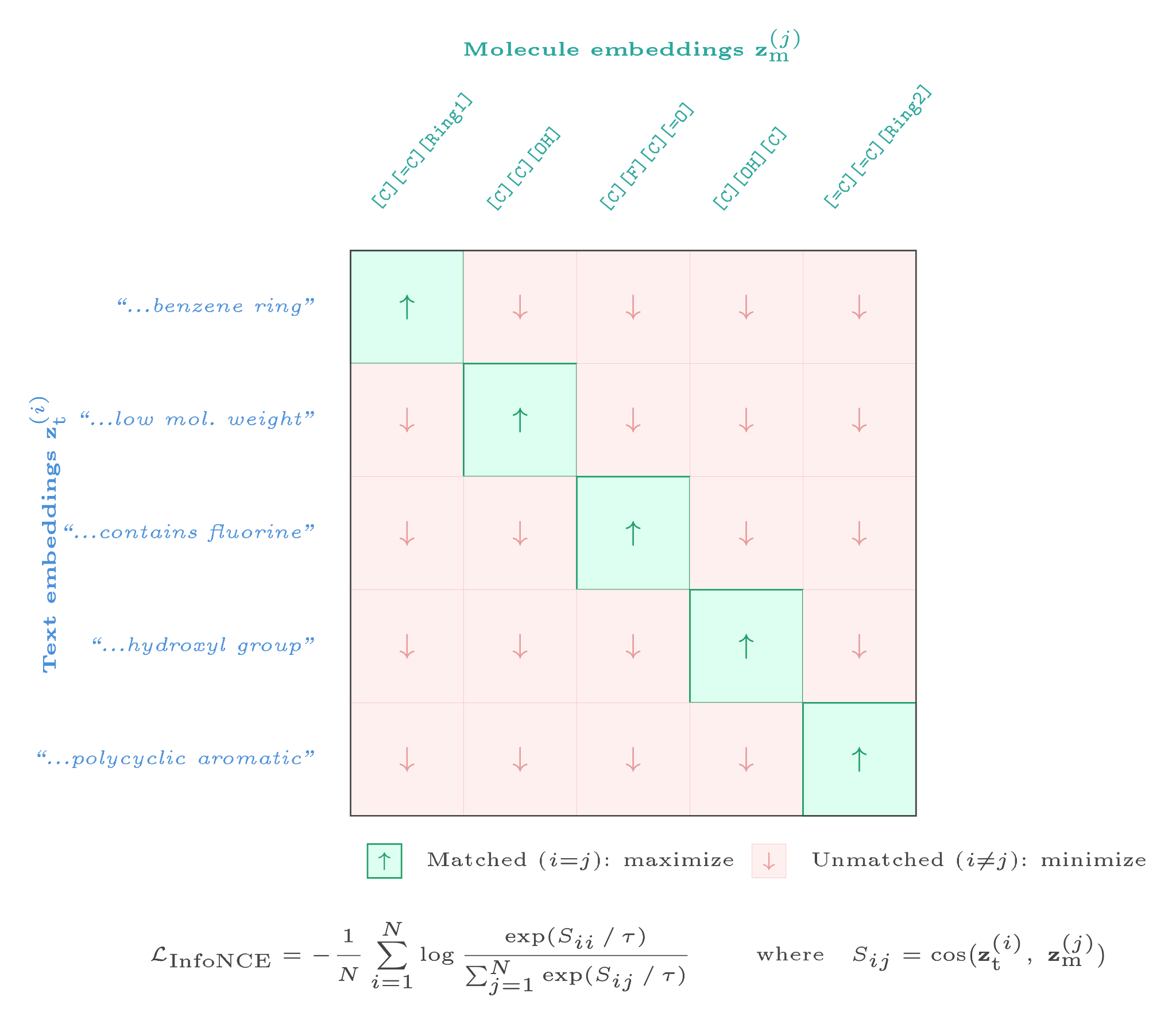 Contrastive alignment: InfoNCE matrix over text descriptions and SELFIES molecules